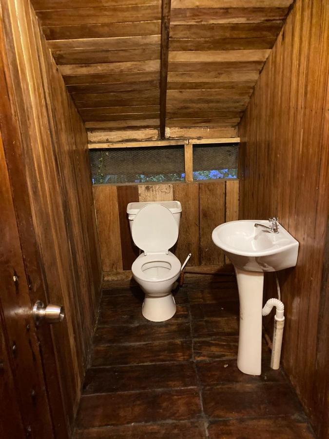 Guest House Great Hostels Amazon 普约 外观 照片