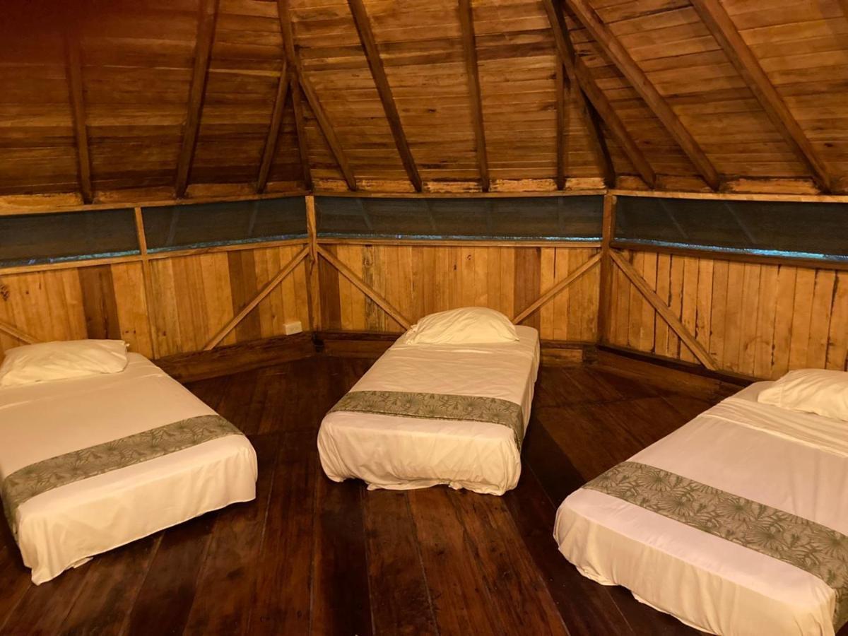 Guest House Great Hostels Amazon 普约 外观 照片