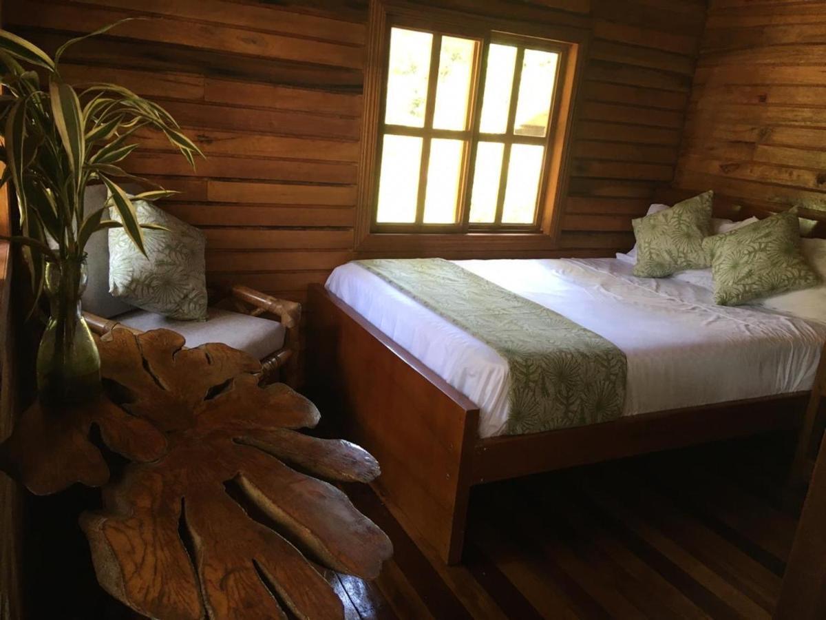 Guest House Great Hostels Amazon 普约 外观 照片